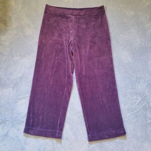 Basic Editions Womens XL Purple Velour Pants Stretch Elastic Waist Loungewear